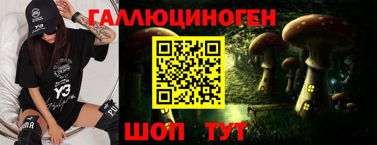 Заводоуковск  Псилоцибиновые грибы Psilocybe  Вход с VPN  купить наркотики сайты  Галлюциногенные грибы прущие грибы 